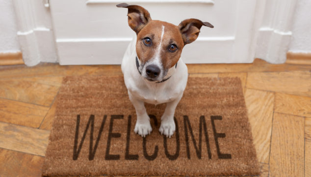 Welcome to Only Happiness Counts by Neera Menon